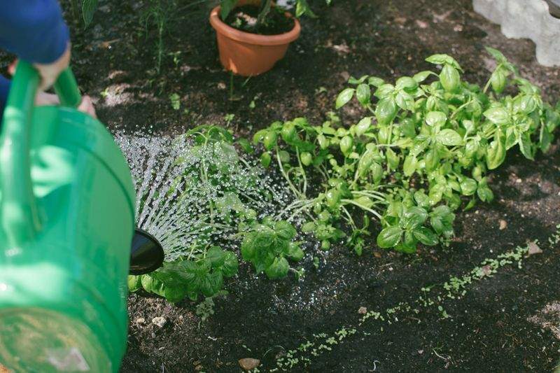 Grünraum Gartenpflege GmbH 10