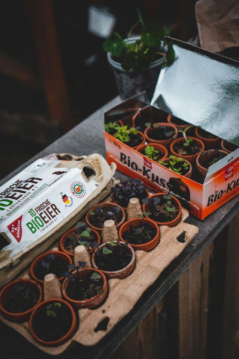 Grünraum Gartenpflege GmbH 13