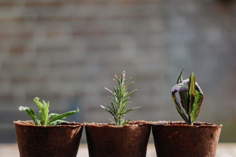 Grünraum Gartenpflege GmbH 14