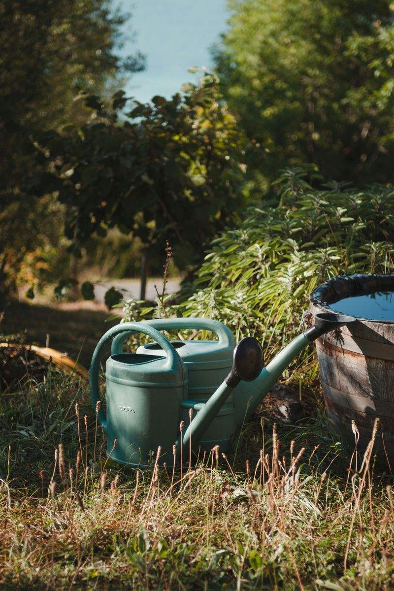 Grünraum Gartenpflege GmbH 9