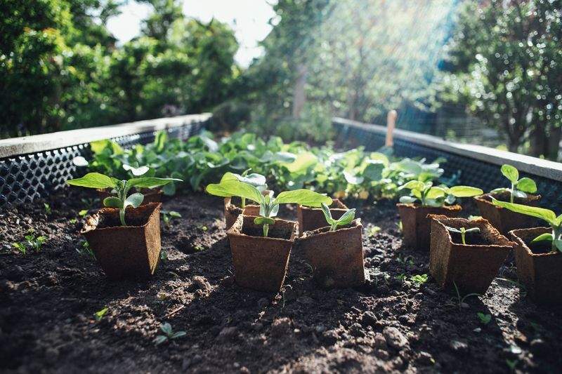Grünraum Gartenpflege GmbH