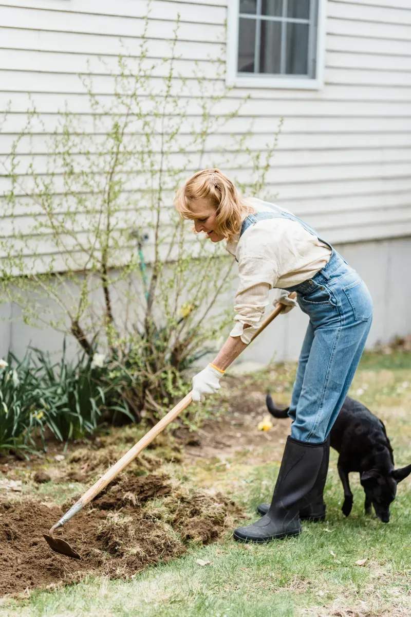 Saisonale Gartenbetreuung